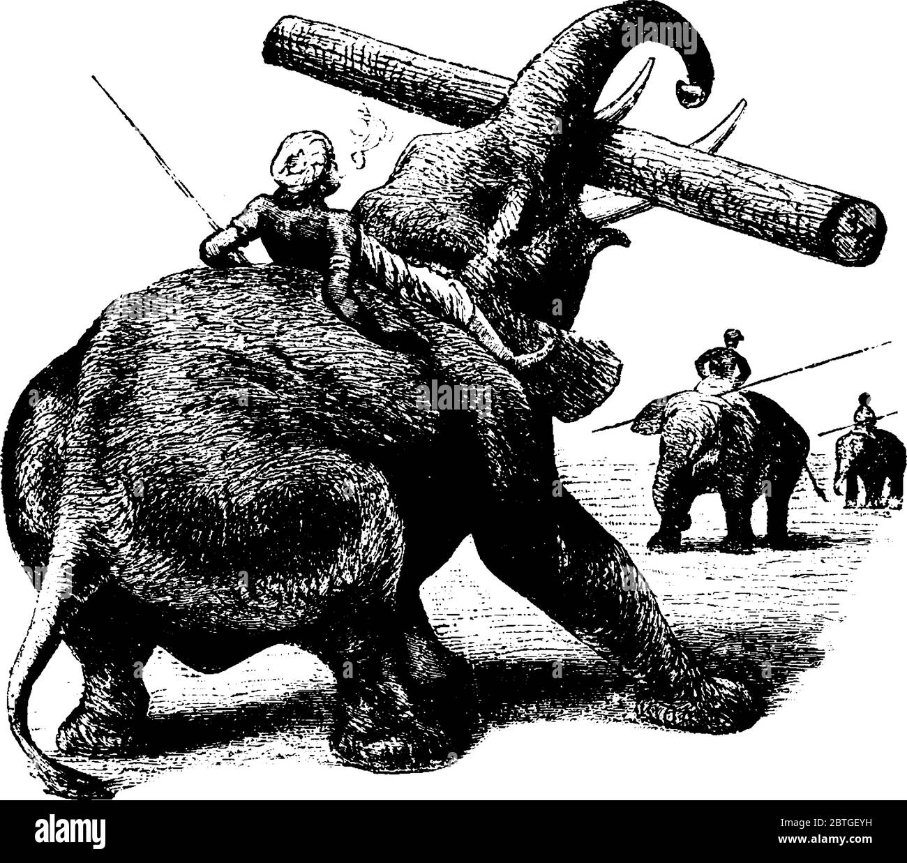 Ein Mahout reiten ein Elefant mit großen Ohren, Säule wie Beine, heben ein Log mit seinem langen Stamm, Vintage-Linie Zeichnung oder Gravur Illustration Stock Vektor