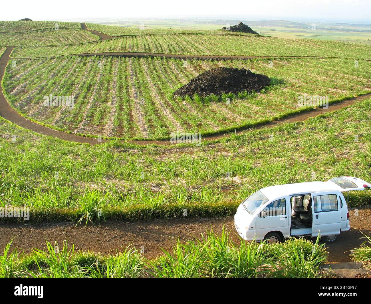 Zuckerrohrplantage mit Steinpyramiden, einem weißen Touristenbus, Mauritius, Mauritius und Rodrigues, Indischer Ozean. Stockfoto