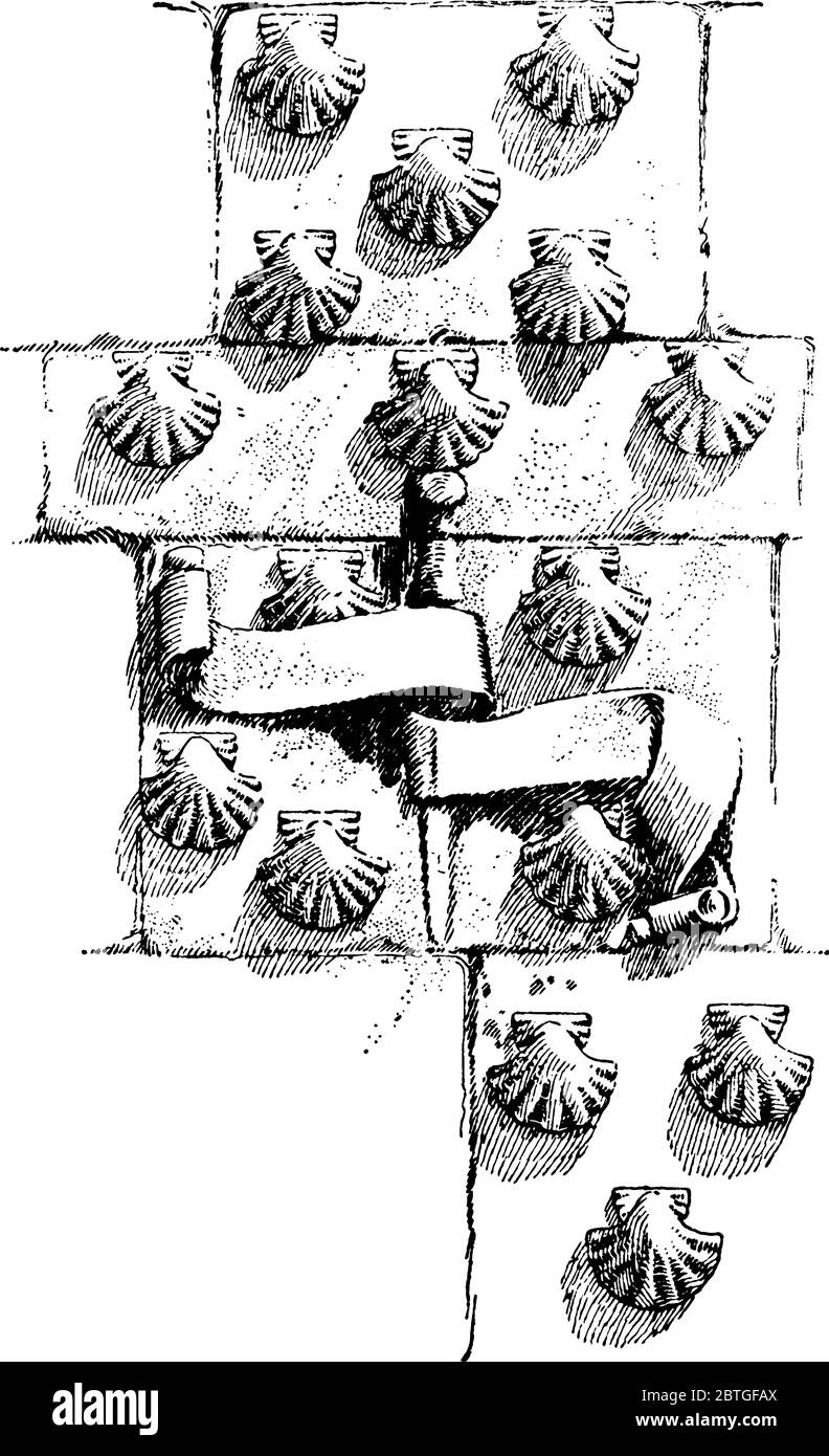 Muschelarbeit, Hôtel Cluny, Paris, besonders geschnitzt oder modelliert ist ein Motiv, das die Formen der Muschelschalen imitiert oder durch die Vintage-Linienzeichnung suggeriert wird Stock Vektor