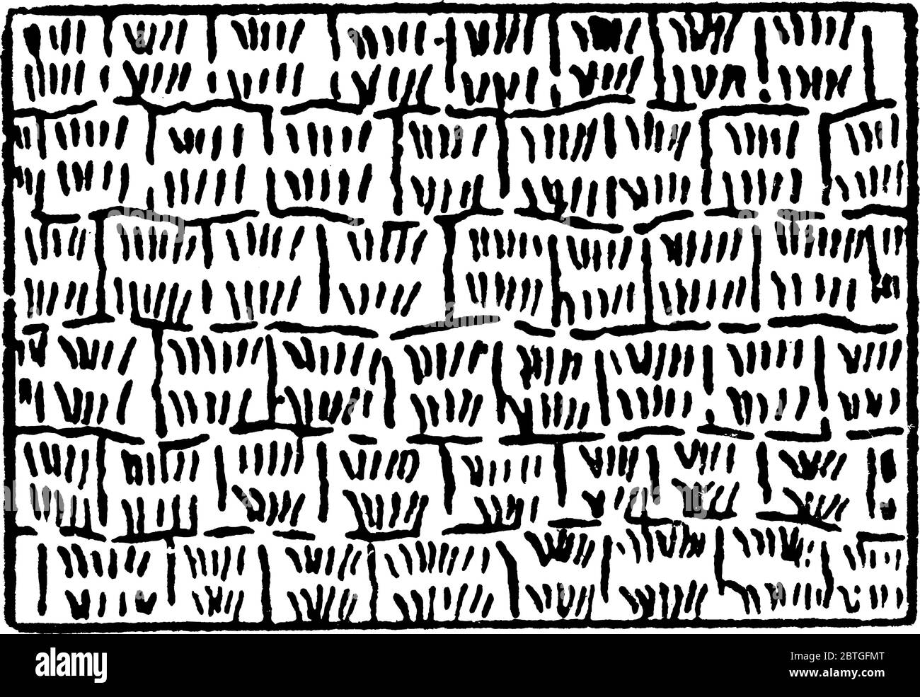 Die typische Darstellung von Reis auf einer topographischen Karte, Vintage-Strichzeichnung oder Gravurdarstellung. Stock Vektor