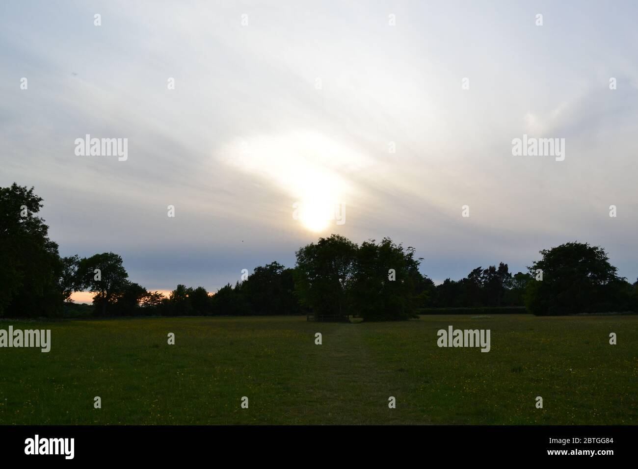 Ende Mai im Nordwesten von Kent, England. Felder in Charles Darwins Dorf, Downe, in der Dämmerung. Sonnenuntergang, dünne Wolke, friedliche, ruhige Landszene Stockfoto