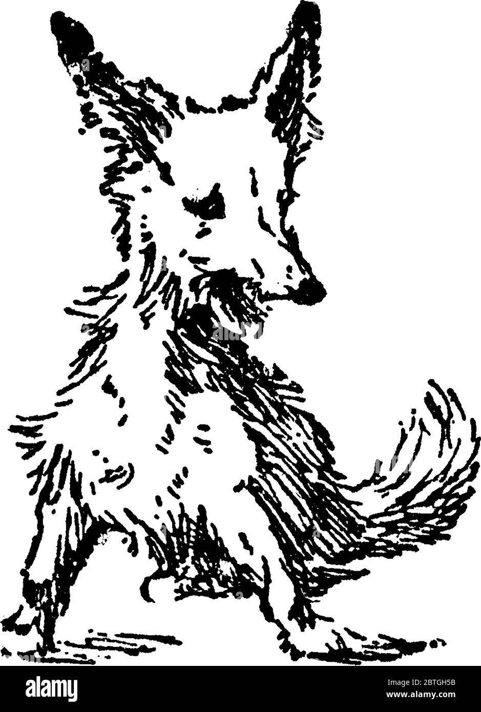 Eine typische Darstellung des Hundes in sitzender Position, mit geöffnetem Mund. Hunde sind loyal und gelten als bester Freund des Menschen, Jahrgang l Stock Vektor