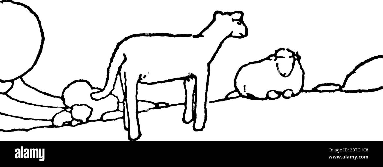 Eine typische Darstellung von zwei Lämmern, Weide auf dem Land, Vintage-Linie Zeichnung oder Gravur Illustration. Stock Vektor