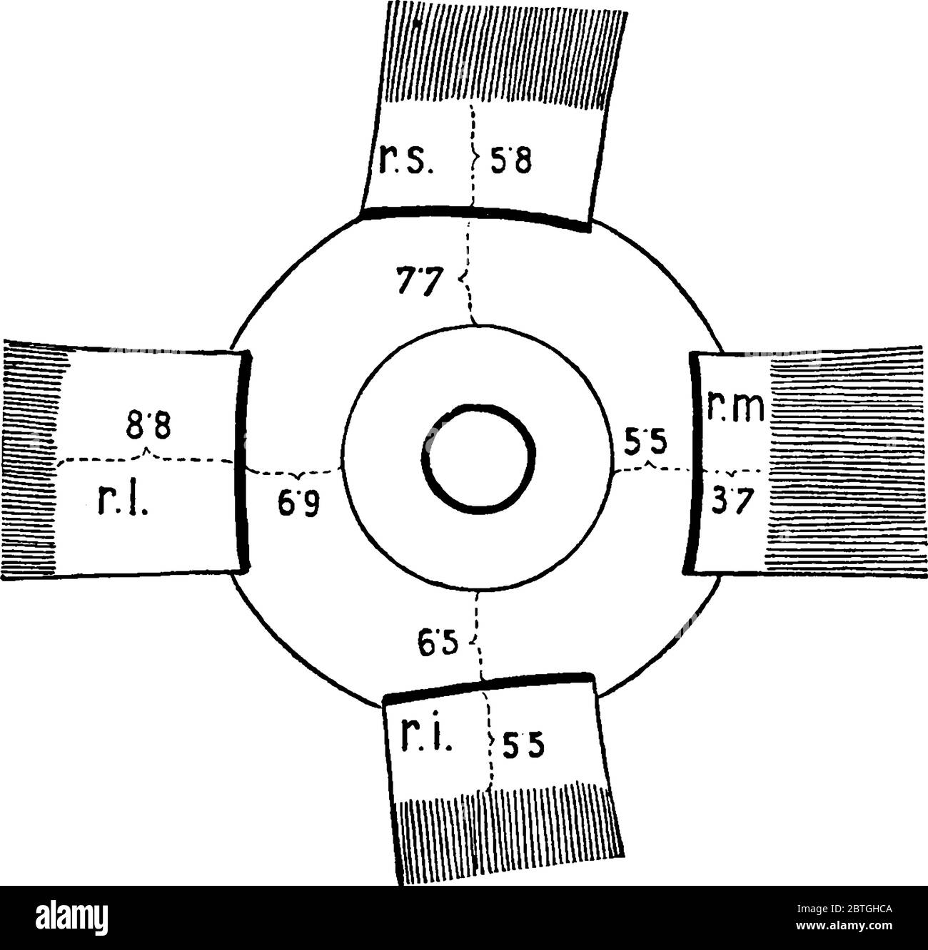 Muskeln des menschlichen Auges schattiert, zeigt den Plan der Einfügungen der Rekti (Muskeln) in den rechten Augapfel, mit seinen Teilen beschriftet, vintage li Stock Vektor
