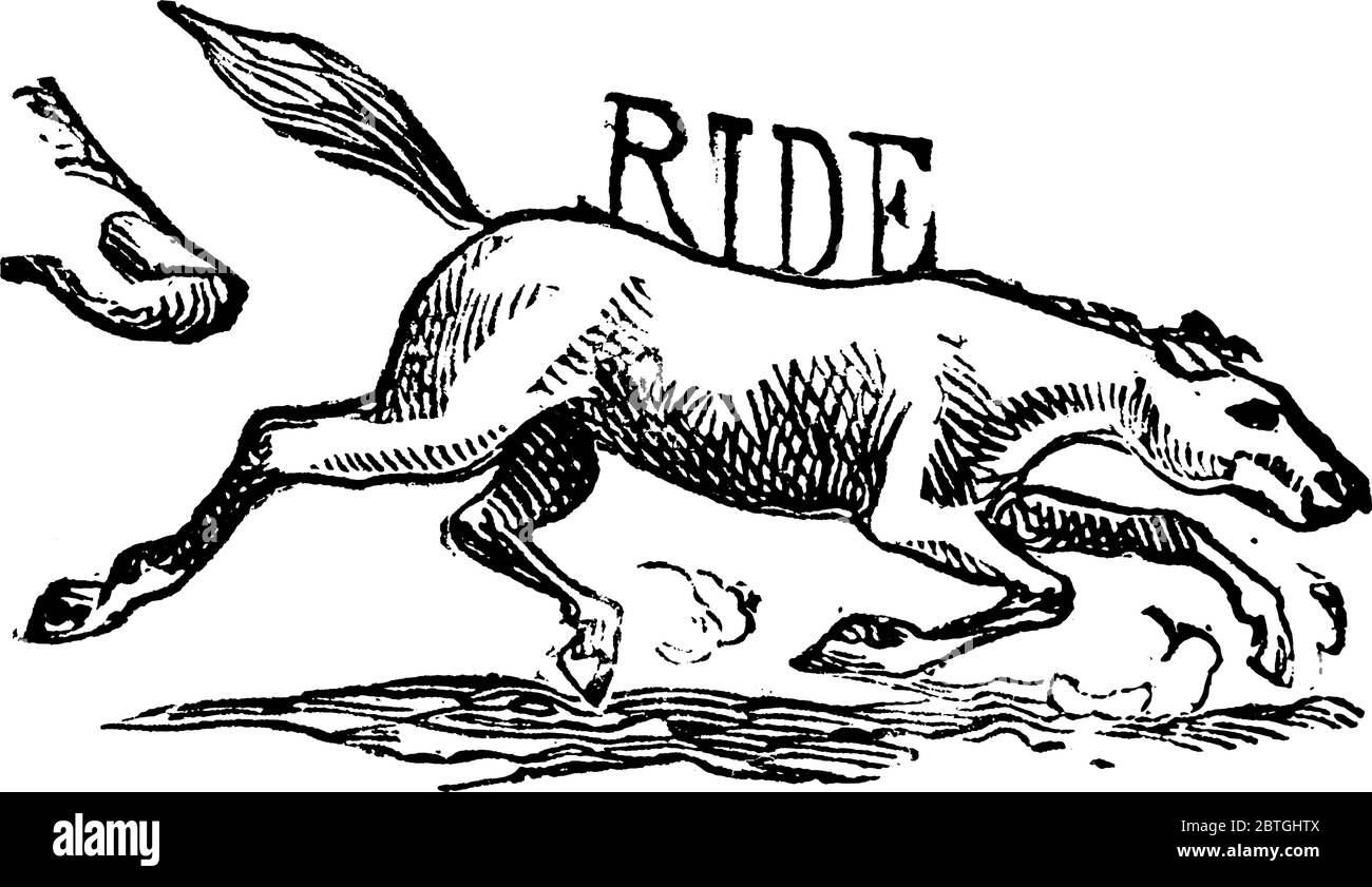 Running Horse, es ist eines der nützlichsten Tiere, sie sind gut geeignet für die Arbeit und das Laufen., Vintage-Linie Zeichnung oder Gravur Illustration. Stock Vektor