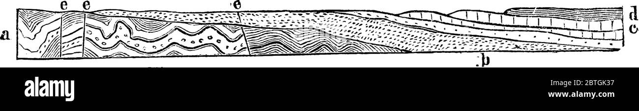 Schichten ist ein einzelnes Bett von sedimentärem Gestein, das im Allgemeinen aus einer Art Materie besteht, die kontinuierliche Ablagerung darstellt. Diese Figur repräsentiert Eozoi Stock Vektor