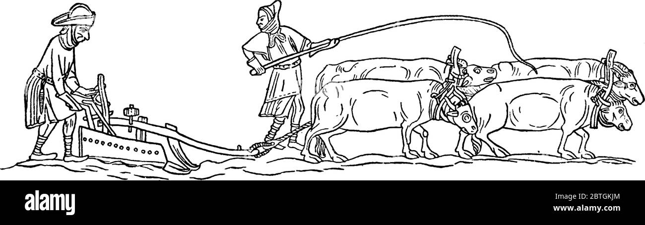 Im Bild pflügen zwei Männer ihr Feld mit Hilfe von Ochsen im Mittelalter, Vintage-Linie Zeichnung oder Gravur Illustration. Stock Vektor