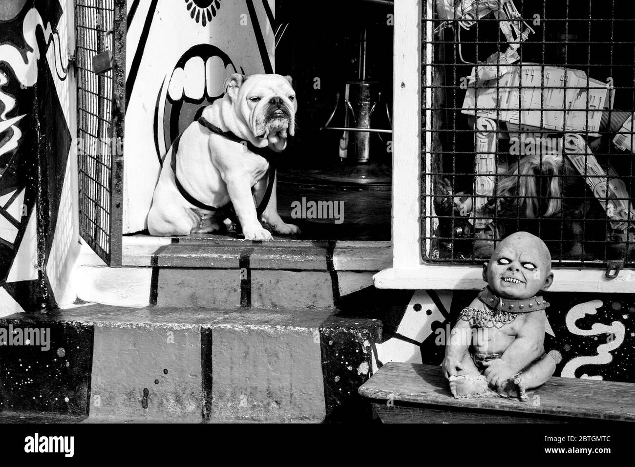 Fat Hund draußen Friseur in Brighton Stockfoto