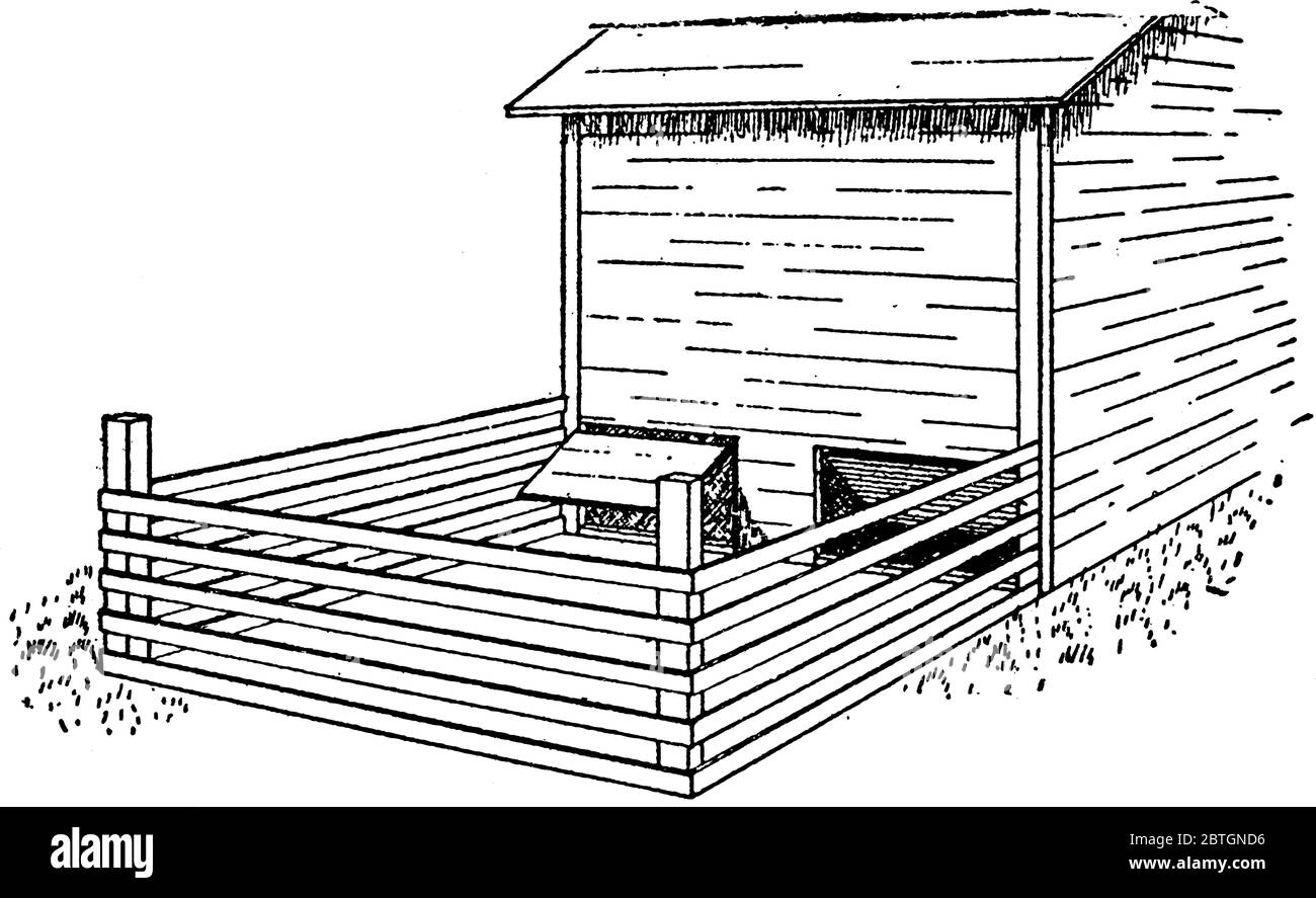 Tür in Häusern für Haustiere, die von ihm selbst geschlossen werden, Vintage Strichzeichnung oder Gravur Illustration verwendet. Stock Vektor