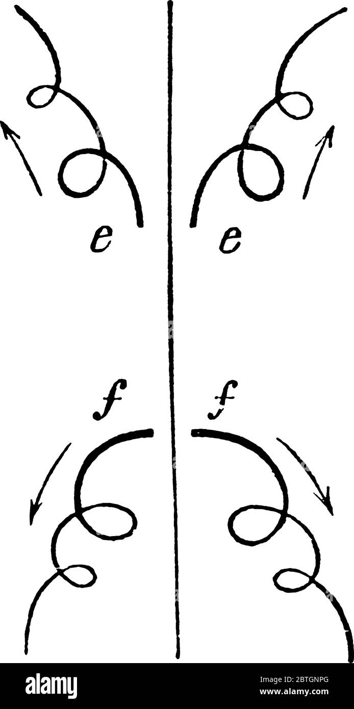 Diagramm mit Looping-Bewegung eines jungen Frosches schwimmen im Wasser, Vintage-Linie Zeichnung oder Gravur Illustration. Stock Vektor