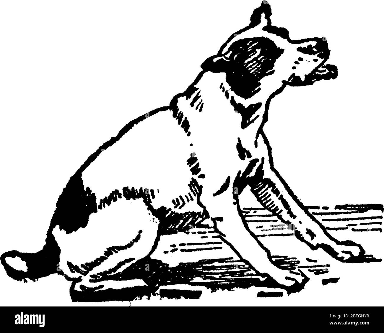 Eine typische Darstellung des Hundes in sitzender Position, mit geöffnetem Mund. Hunde sind loyal und gelten als bester Freund und Gattungen des Menschen Stock Vektor