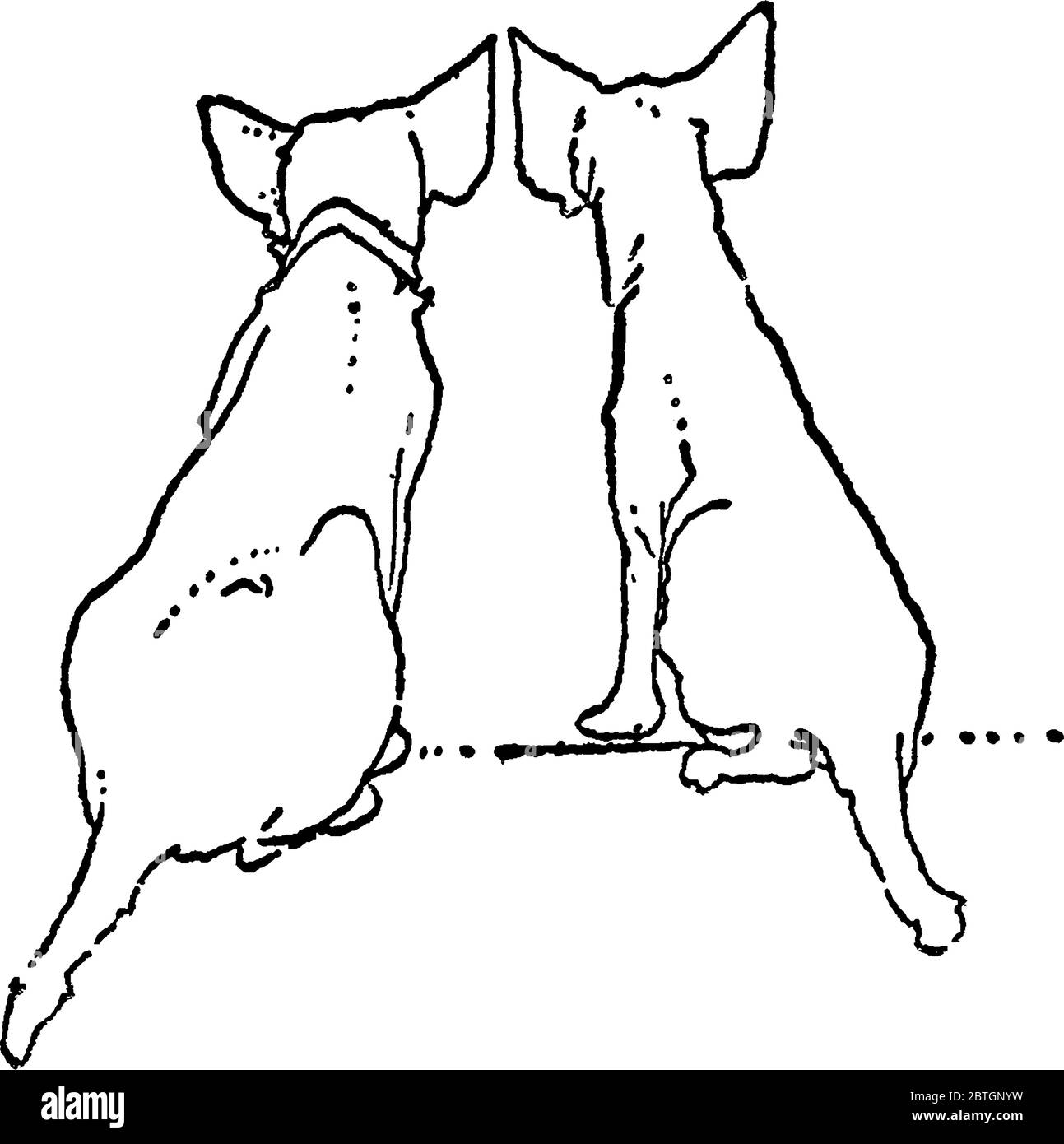 Die Taschenansicht von zwei Hunden, die auf der Straße sitzen. Von den beiden trägt man einen Kragen um den Hals, Vintage-Strichzeichnung oder Gravur-Illustration Stock Vektor