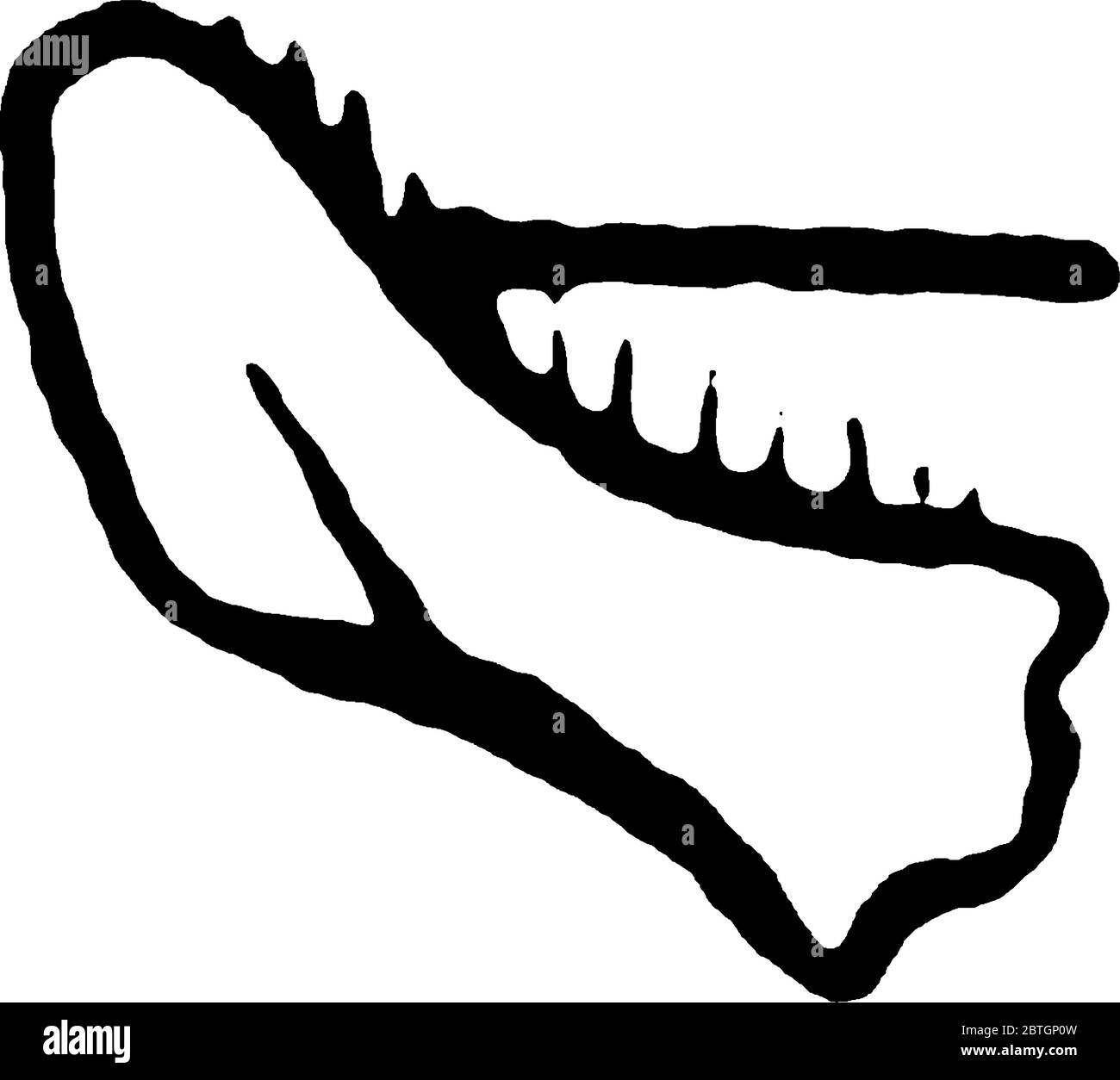 Eine Honigbiene ist ein eusocial, fliegendes Insekt in der Familie Apidae, sie lebt in Kolonien, Vintage-Linie Zeichnung oder Gravur Illustration. Stock Vektor