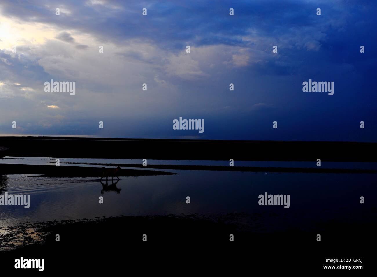 Gaomei Feuchtgebiete bei Sonnenuntergang mit Windturbinenhintergrund in Taiwan Taichung, Stockfoto