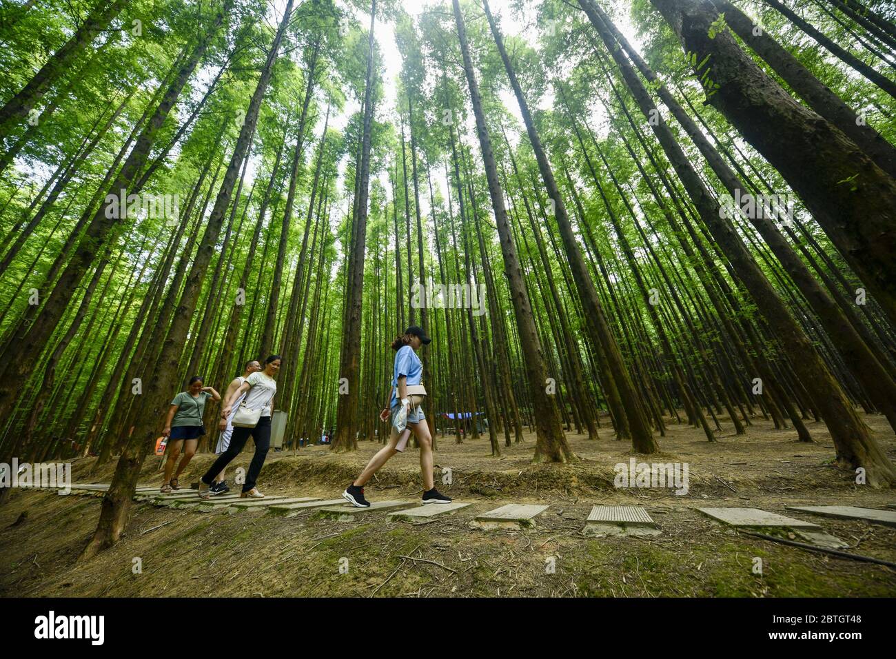 (200526) -- PEKING, 26. Mai 2020 (Xinhua) -- Touristen besuchen den Shanwangping Karst National Ecological Park im Südwesten Chinas Chongqing, 21. August 2019. China werde seinen ökologischen und ökologischen Schutz in den nächsten fünf Jahren nicht lockern, sagte der Minister für Ökologie und Umwelt Huang Runqiu am Rande der jährlichen Sitzung der nationalen Legislative. Die für den 13. Fünfjahresplan (2016-2020) gesetzten ökologischen und ökologischen Schutzziele werden reibungslos erreicht, sagte Huang und fügte hinzu, dass sieben von neun verbindlichen Zielen für die Bewertung des Schutzes festgelegt wurden Stockfoto