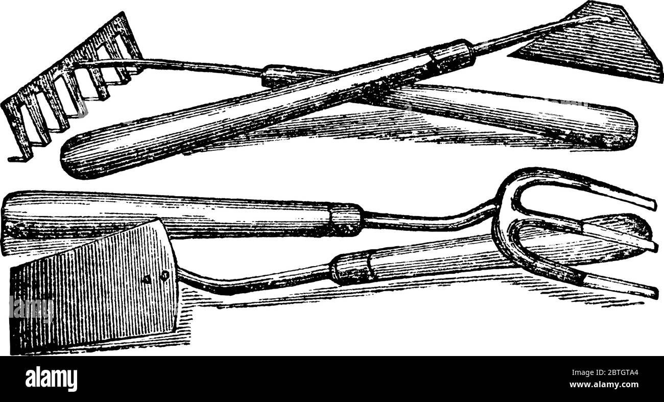 Verschiedene geformte Gartenwerkzeuge im Garten, Vintage-Linie Zeichnung oder Gravur Illustration verwendet. Stock Vektor
