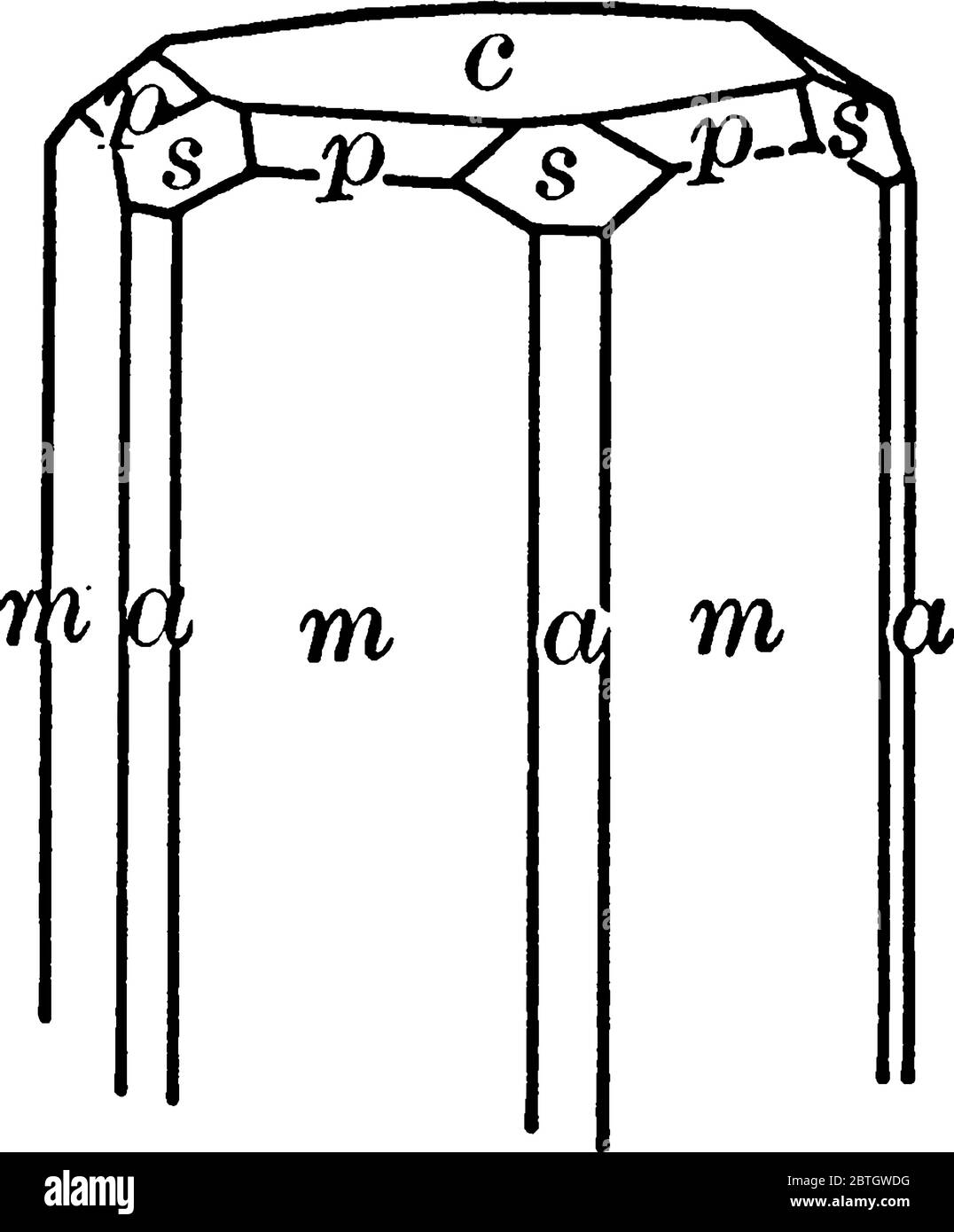 Beryl ist ein Mineral aus Beryllium Aluminium Cyclosilicat, Vintage Linie Zeichnung oder Gravur Illustration zusammengesetzt. Stock Vektor