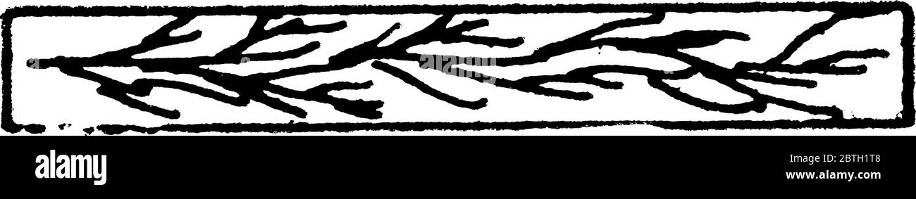 Die typische Darstellung von Aalgras auf einer topographischen Karte, Vintage-Linienzeichnung oder Gravurdarstellung. Stock Vektor