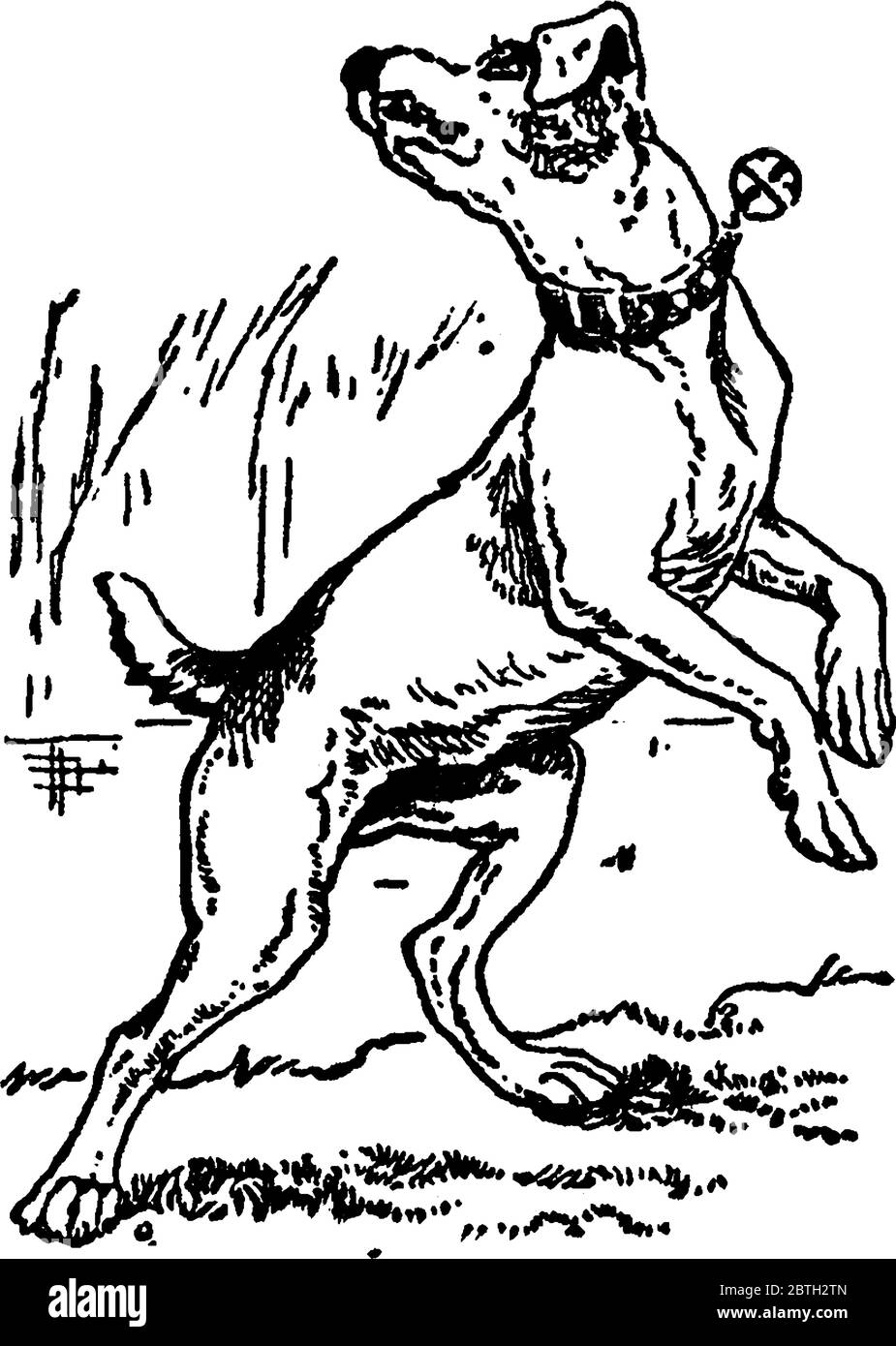 Eine typische Darstellung eines Hundes, der einen Kragen um den Hals trägt und jemanden anbellt. Im Allgemeinen bellen Hunde an Fremden. Sie sind loyal und negativ Stock Vektor