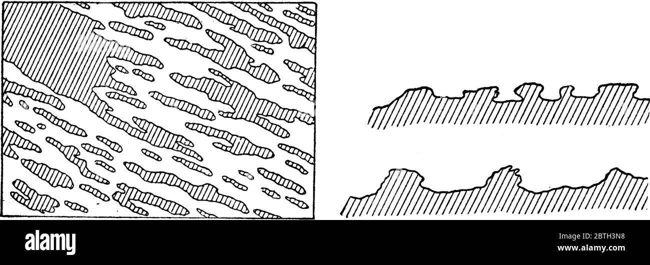 Abbildung zeigt Yardangs, ein Yardang ist ein scharfer unregelmäßiger Kamm aus kompaktem Sand, der in Richtung des aktuellen Windes in exponierten Wüstenregionen liegt, vi Stock Vektor