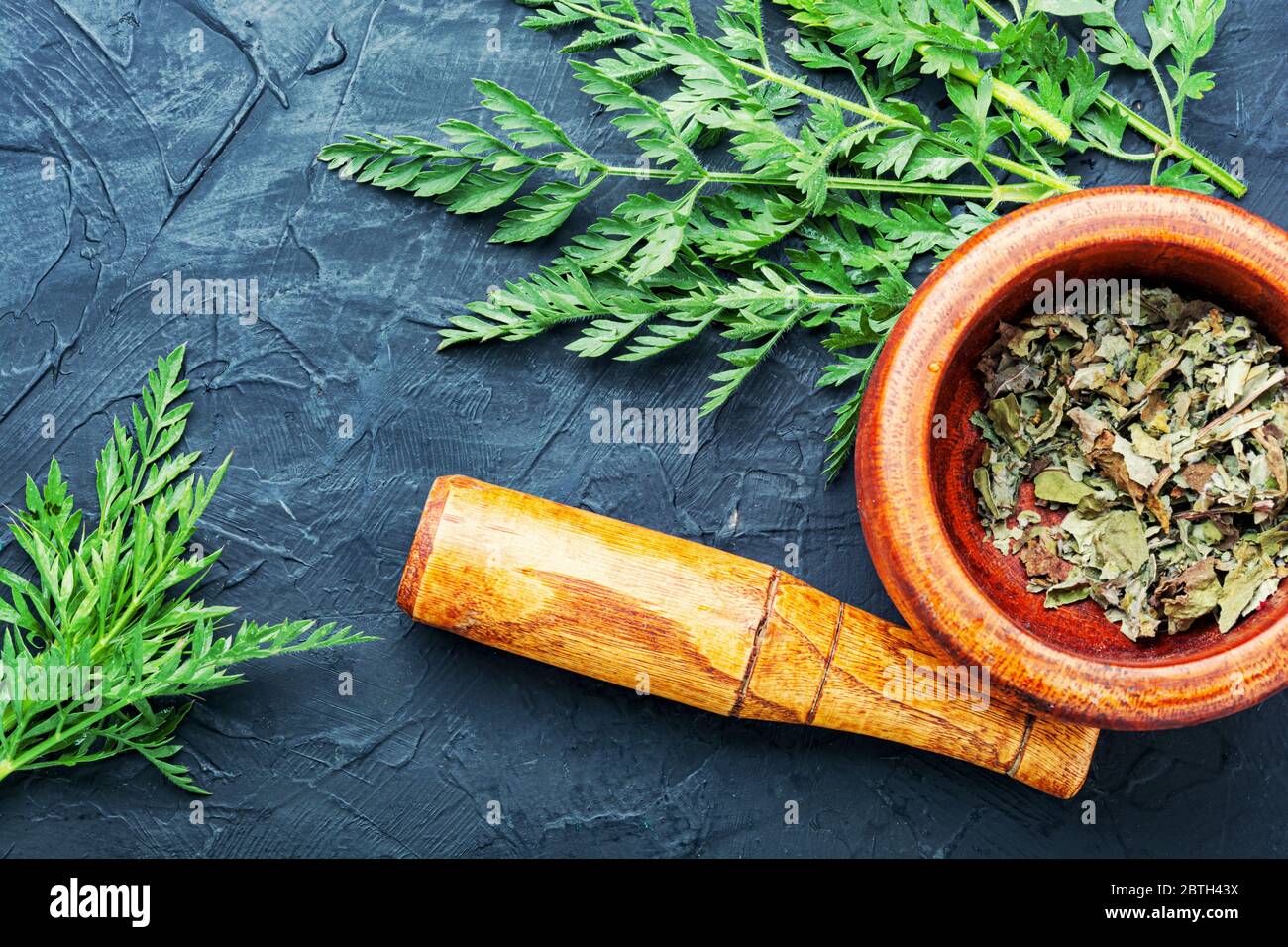 Heilende Eigenschaften von wilden Karotten in Kräutermedizin.Frische medizinische, heilende Pflanzen. Stockfoto