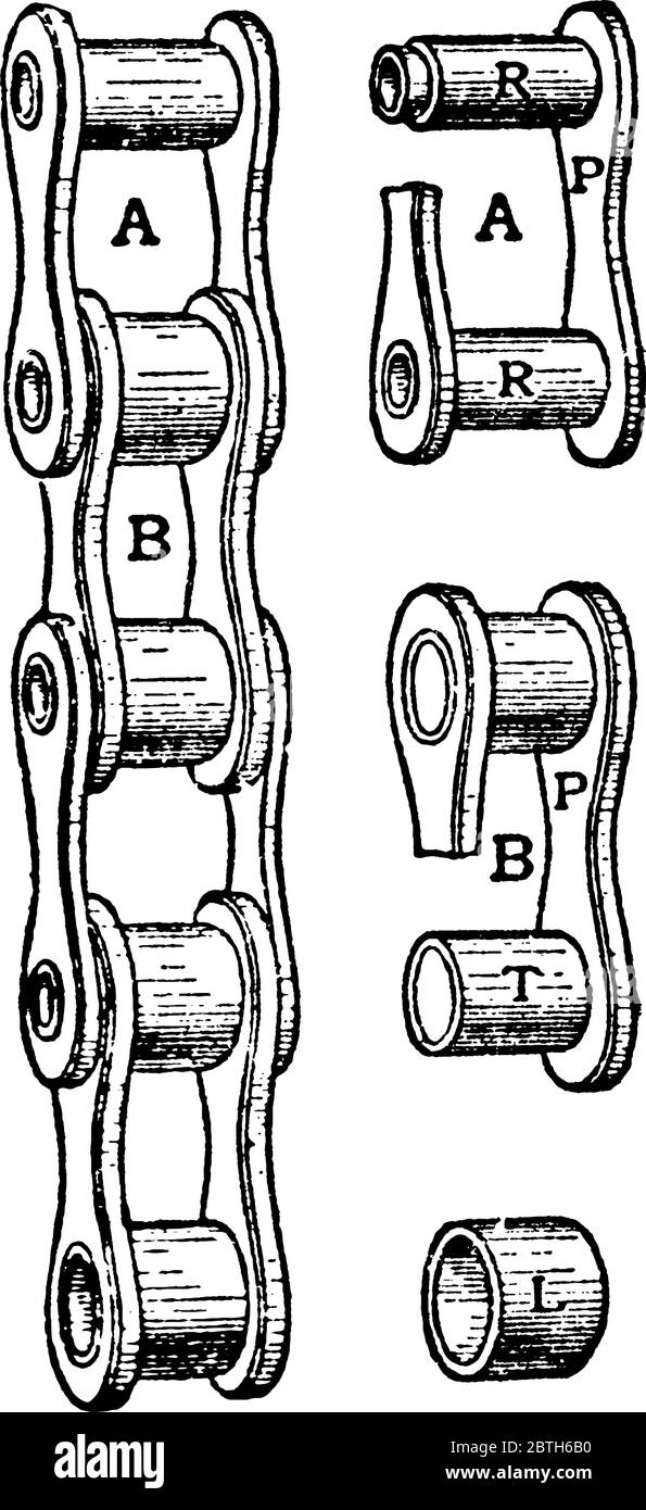 Die Rolle besteht aus einer Reihe von Außen- und Innengliedern, die beide aus zwei Seitenplatten aus Stahl bestehen, die durch zwei schulterförmige Nieten und zwei röhrenförmige pi vereint sind Stock Vektor