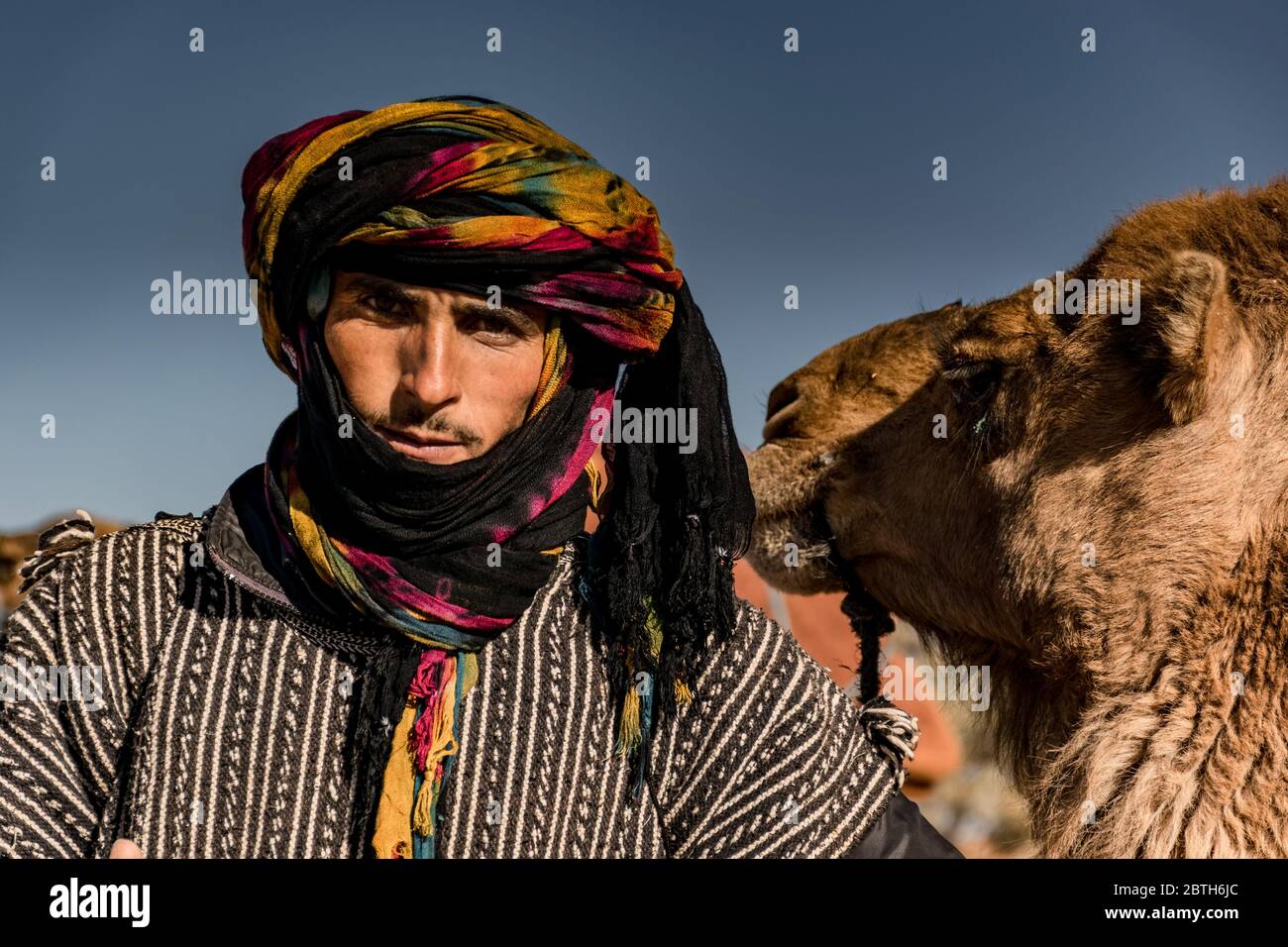 Porträt eines Marokkaners und seines Dromadaires Stockfoto
