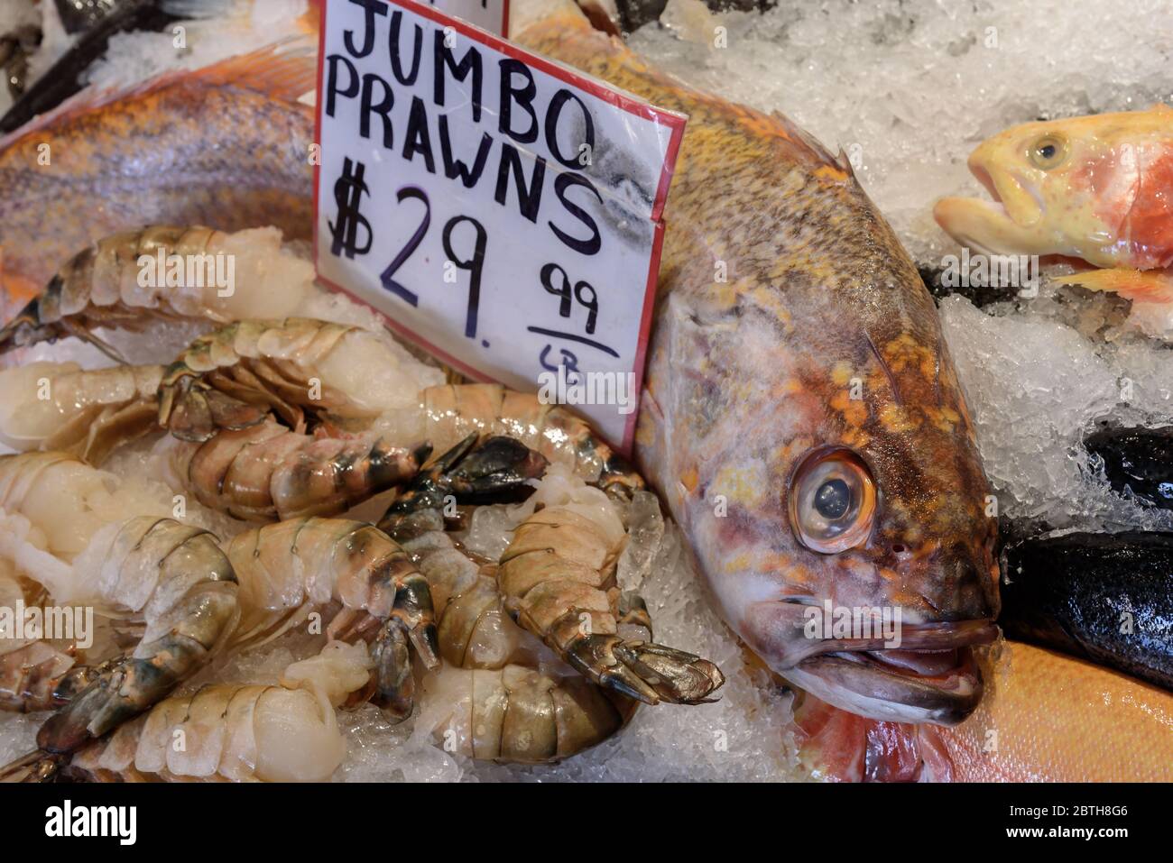 Frischer Fisch zum Verkauf in einem Bauernmarkt. Der Fisch wird in Eis gelegt und beschriftet. Der Markt ist der berühmte Pike Place Markt in Seattle Stockfoto