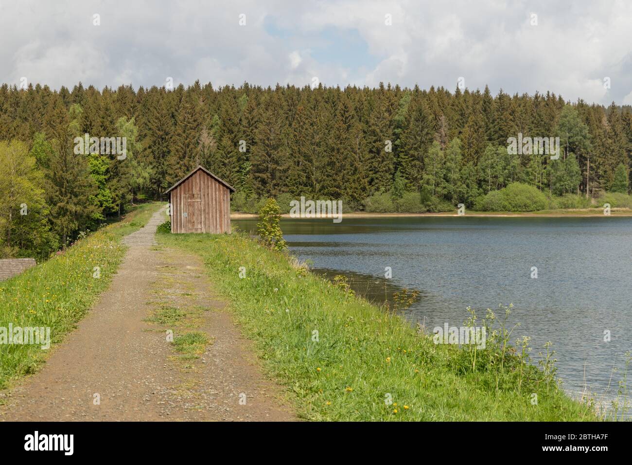 Wanderweg und See bei Clausthal-Zellerfeld im Harz an einem bewölkten Tag Stockfoto