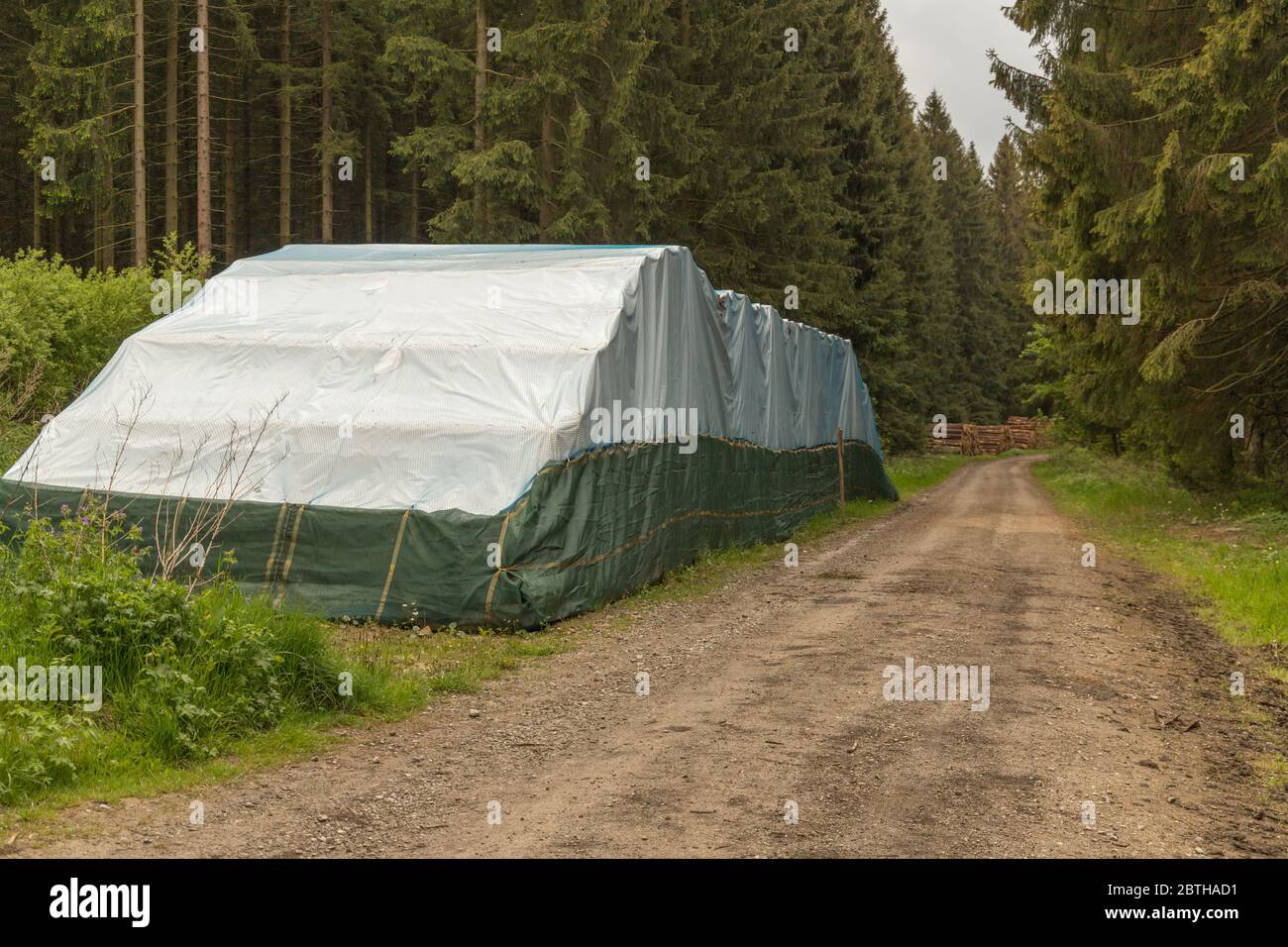 Baumstämme unter einer Plane neben einem Wanderweg gestapelt Stockfoto