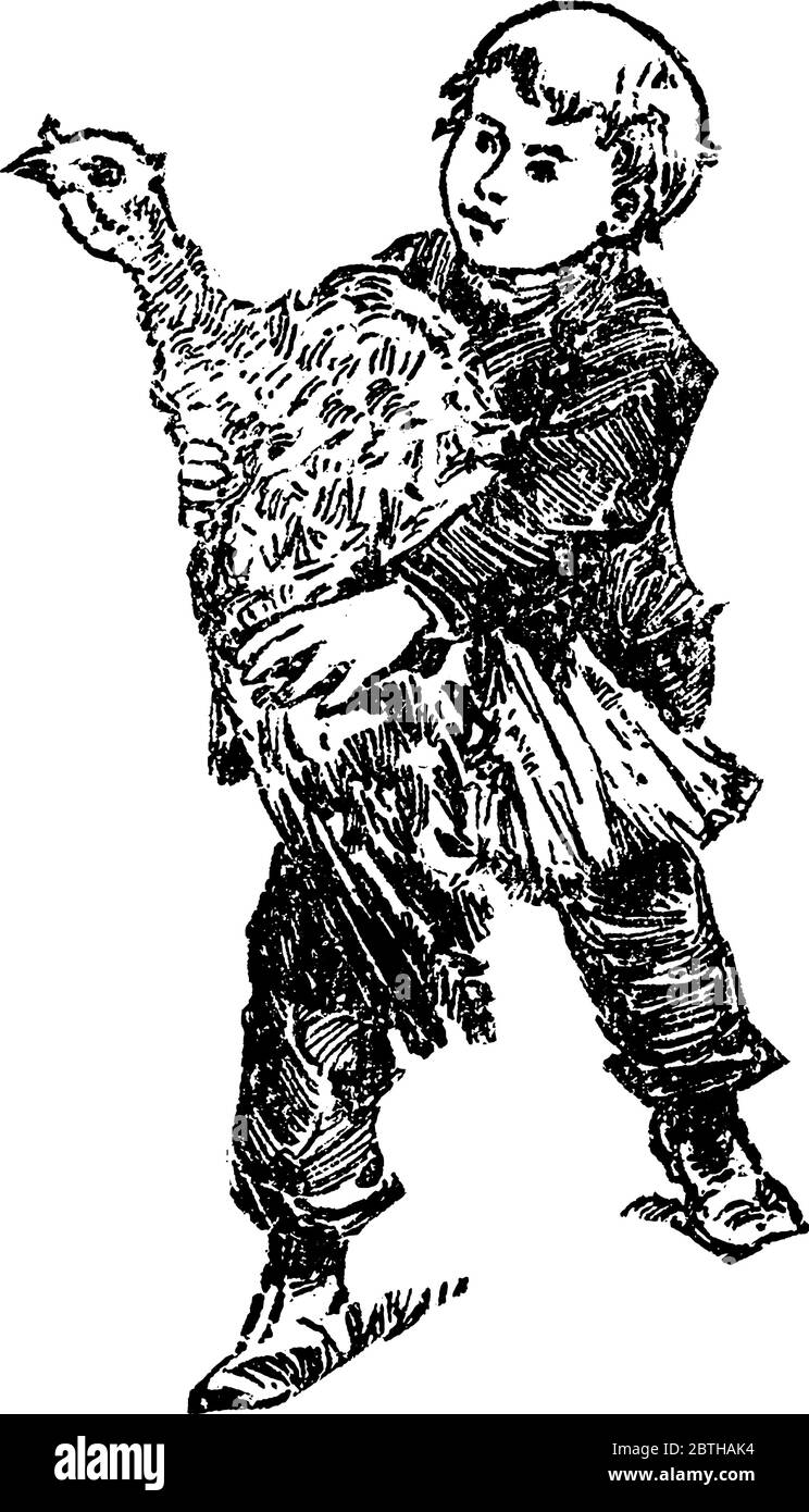 Ein Junge, der eine heimische türkei in den Händen hält, ist die heimische türkei ein großer bodenwohnende Vogel, der 36-44 Zoll lang ist, Vintage-Strichzeichnung oder Stock Vektor