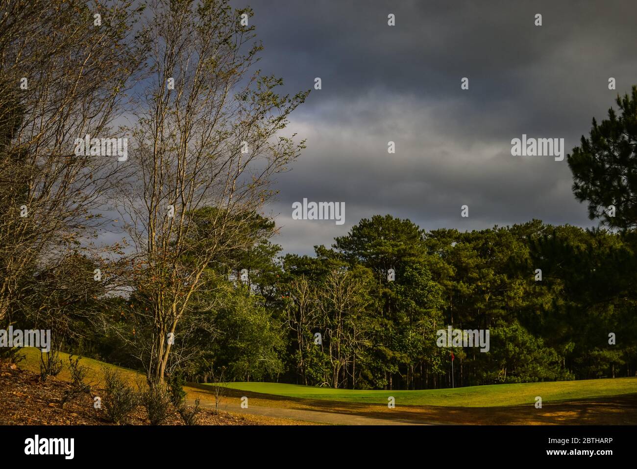 Camp John Hay, Baguio City Stockfoto