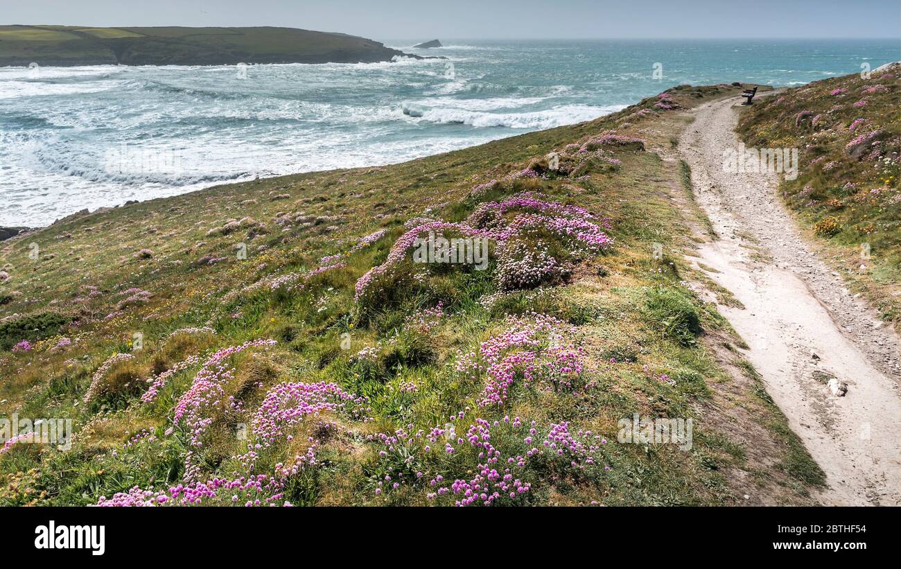 Ein Panoramablick auf die Flut am Crantock Beach vom Pitre Point East in Newquay in Cornwall. Stockfoto