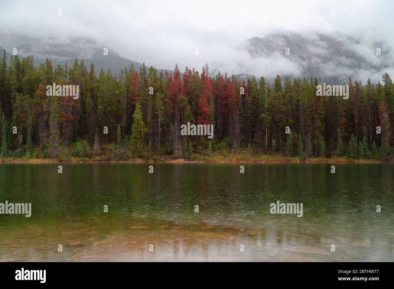 Flitterwochen See an einem regnerischen Tag, Jasper, Alberta, Kanada Stockfoto