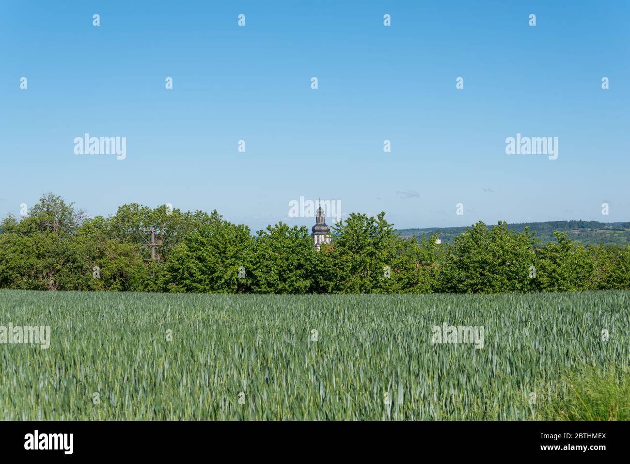 Getreidefeld mit Fachwerkturm der St. Martin Kirche im Hintergrund, Gochsheim, Baden-Württemberg, Deutschland, Europa Stockfoto