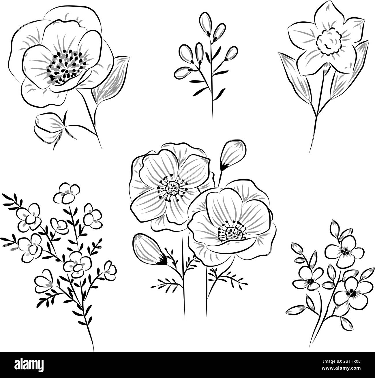 Blumen Zeichnung mit Line-Kunst auf weißem Hintergrund. Stock Vektor