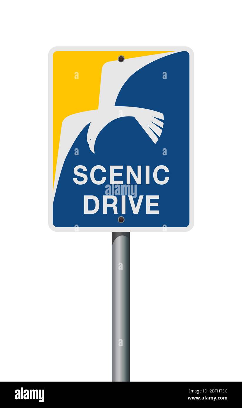 Vektorgrafik des Scenic Drive San Diego Road Schild auf Metallpfosten Stock Vektor