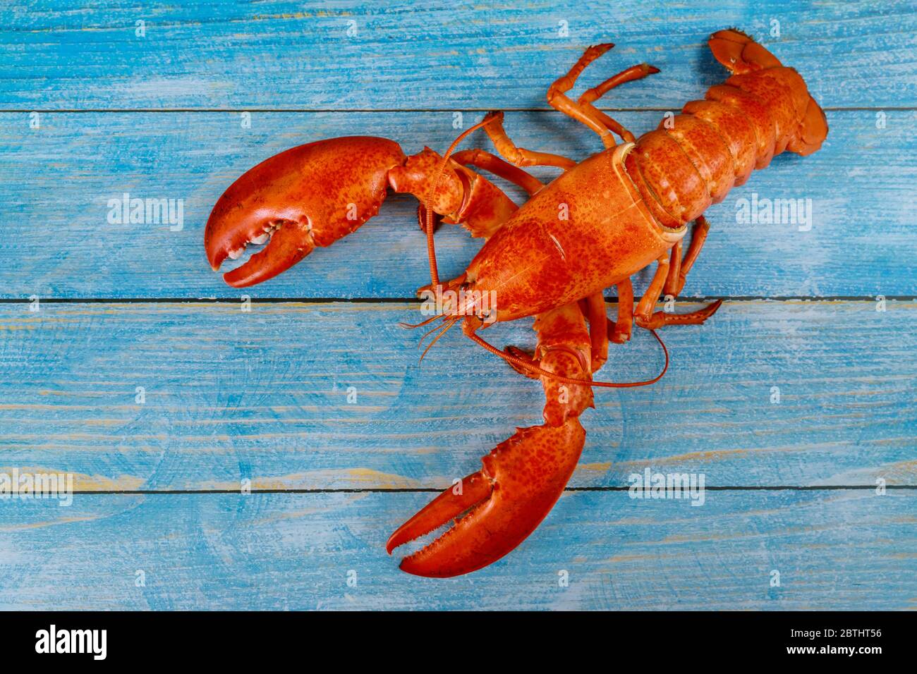 Köstliche Meeresfrüchte mit rotem Hummer auf einem alten blauen Holztisch. Stockfoto