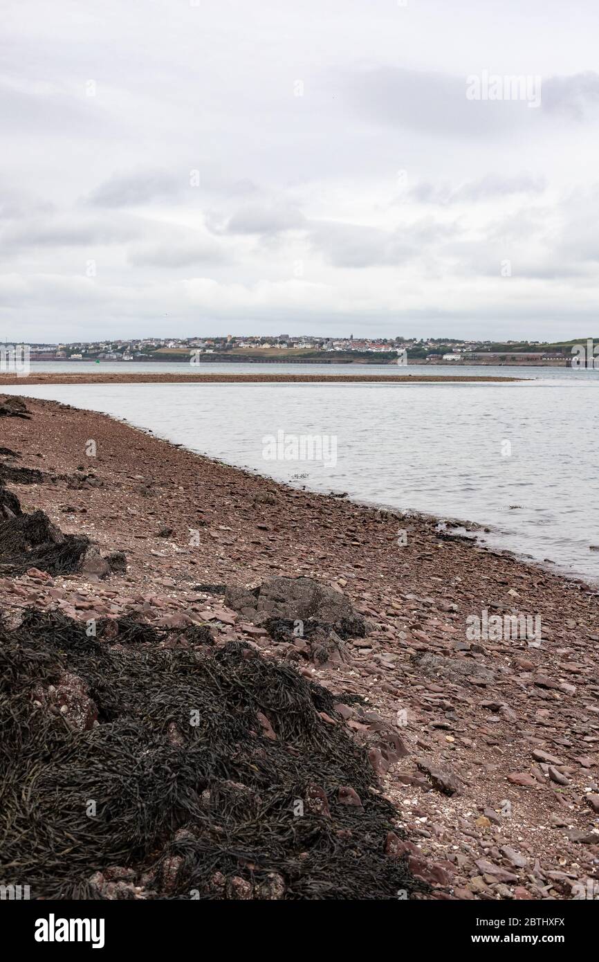 Milford Haven von Pwllchrochan Flats. Stockfoto