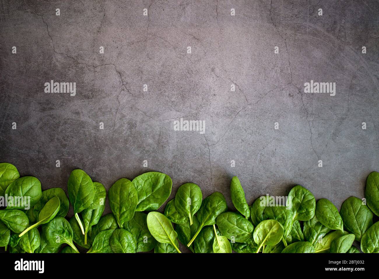 Rohe frische Baby Spinat Blätter in Schüssel auf grauem Hintergrund. Rahmen aus Spinat Hintergrund. Draufsicht gesunde Blatt Gemüse Lebensmittel auf dunklem Tisch Stockfoto