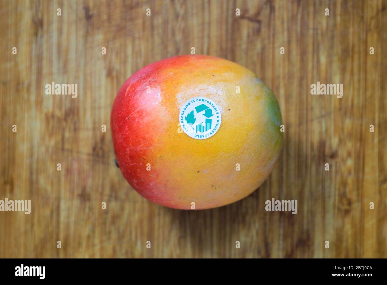 Diese Verpackung ist kompostierbar und biologisch abbaubar. Konzeptbild, Mango mit Recycling-Etikett Stockfoto