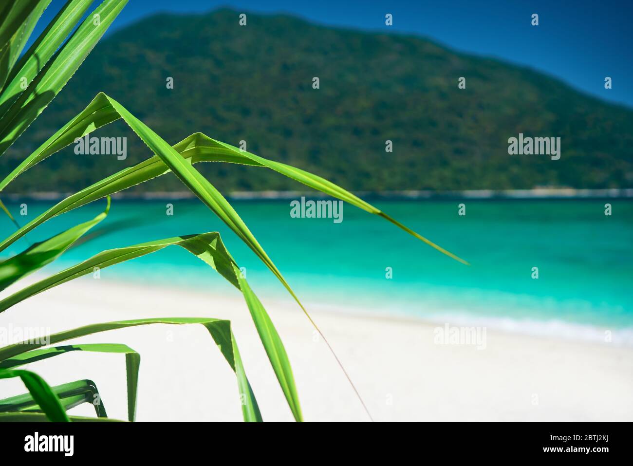 Tropische Insel Natur Hintergrund. Urlaub, Reiseziel, Sommer, Meer Konzept Stockfoto