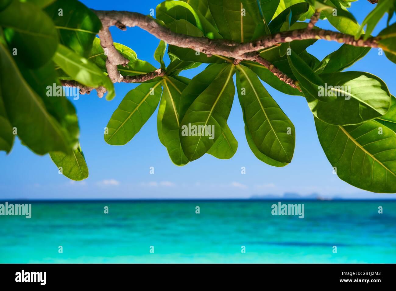 Tropische Insel Natur Hintergrund. Urlaub, Reiseziel, Sommer, Meer Konzept Stockfoto