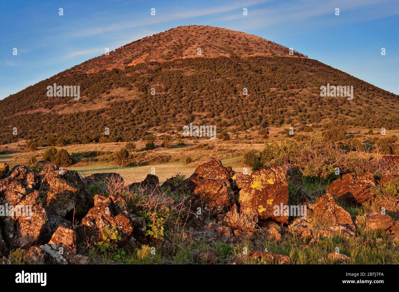 Vulkanische Gesteine am Ende des alten Lavastroms, Krater, Capulin Volcano National Monument, New Mexico, USA Stockfoto