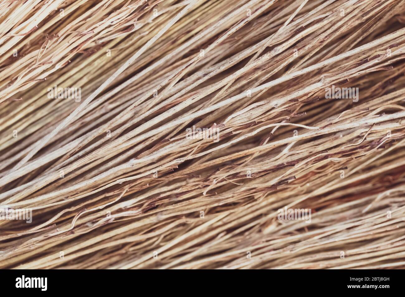 Strohstäbchen Textur, braun trockene Stäbe. Abstraktes Muster, Hintergründe. Gestreifte Oberfläche Stockfoto