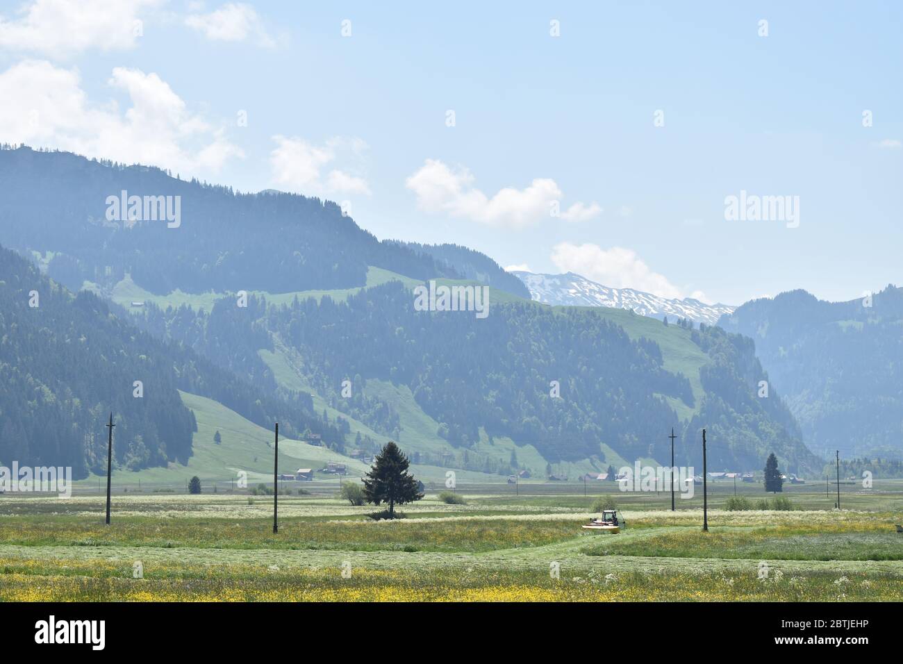 Schweizer Berge Stockfoto