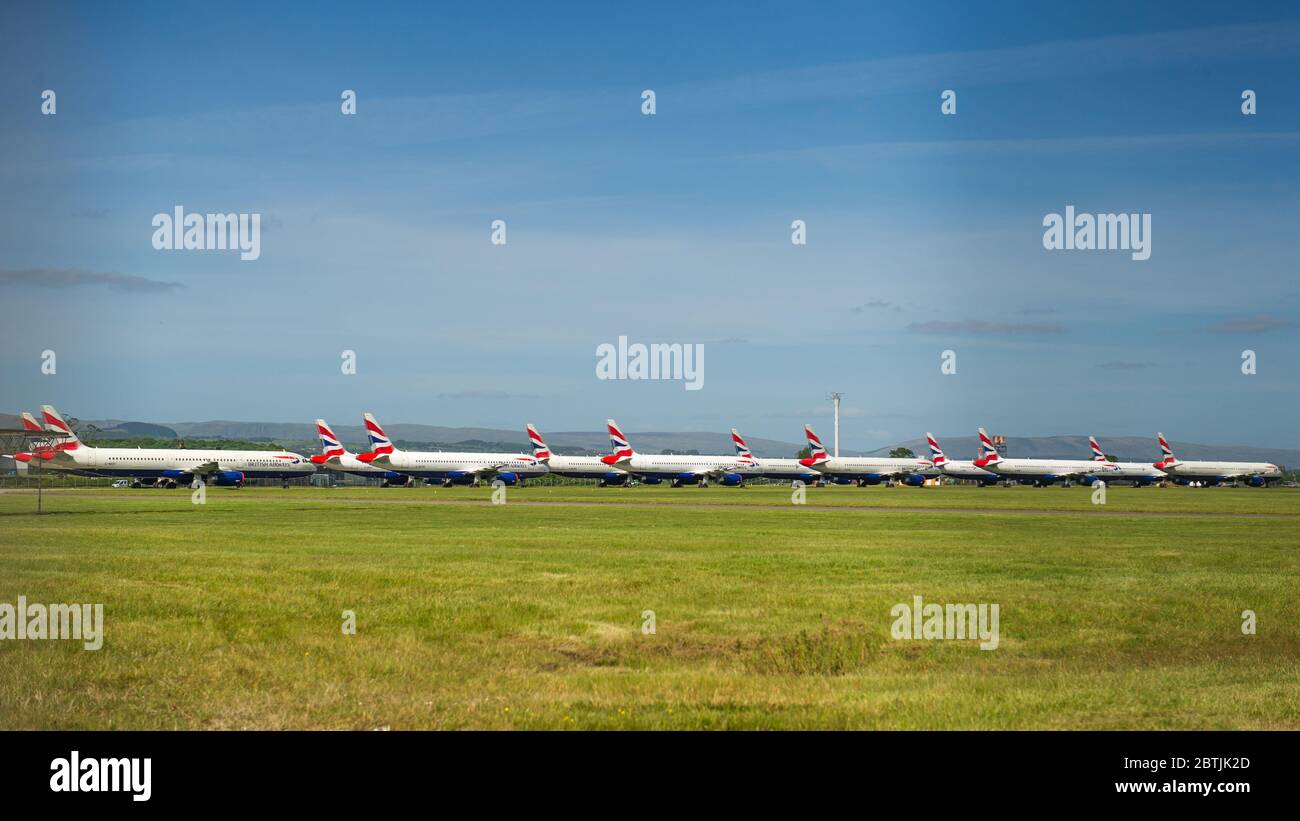 Glasgow, Schottland, Großbritannien. Mai 2020. Im Bild: Auf unbestimmte Zeit durch die Sperrung des Coronavirus (COVID19) begründet, die verheerende Auswirkungen auf die Fluggesellschaft und die globale Luftfahrtindustrie hatte. Gesehen am Flughafen Glasgow eine Sammlung 14 Airbus A319/A320/A321 Flugzeuge auf dem Asphalt versiegelt gesehen. British Airways hat fast ein Viertel ihrer Mitarbeiter entlassen, um ihre rasend steigenden Kosten zu senken, während ein Bruchteil ihrer Flotte in Betrieb ist. Quelle: Colin Fisher/Alamy Live News Stockfoto