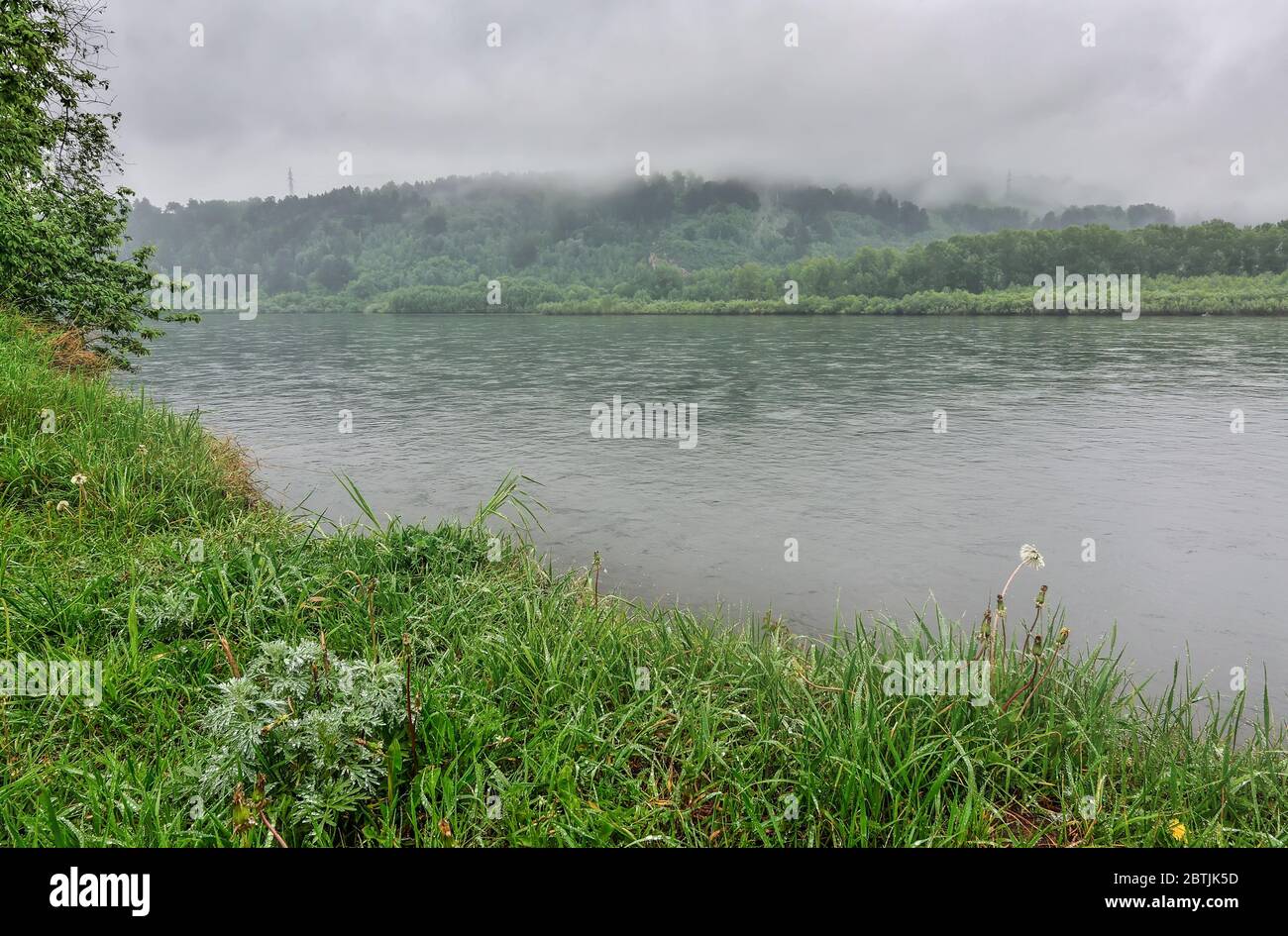 Weißer Nebel über dem Wald auf Hügel und Fluss im Sommermorgen. Moody Landschaft am Flussufer. Grünes Gras mit Tau-Tropfen. Frische und Ruhe Stockfoto