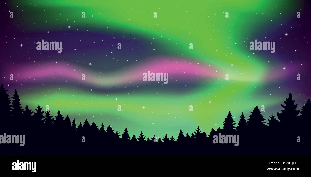 aurora borealis schöne Polarlichter in stary Himmel in Wald Vektor-Illustration EPS10 Stock Vektor