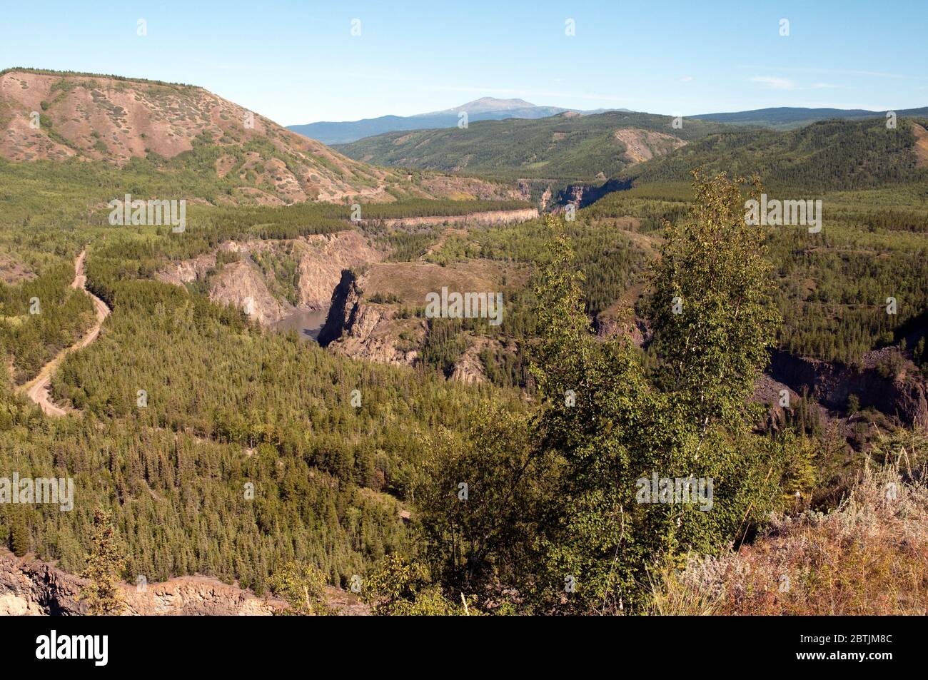 Die steilen Hänge des Grand Canyon des Stikine River in den Spectrum Mountains, in der Nähe von Telegraph Creek im Norden von British Columbia, Kanada. Stockfoto
